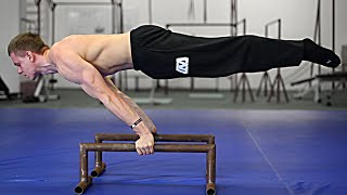 How To Planche  Beginner Tutorial [upl. by Nylinnej182]