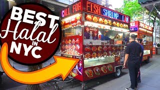 NYCs Best Halal Carts  New York City Halal Food [upl. by Daniels756]