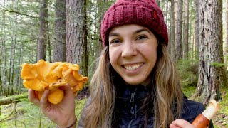 Wild Chanterelle Mushroom Hunting  The Best Way to Cook Chanterelles  Foraging in the PNW [upl. by Drislane]