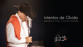 Walter Silva  Intentos De Olvido Video Oficial [upl. by Gnad]