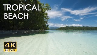 4K HDR Tropical Beach  Gentle Ocean Wave Sounds  Peaceful Wild Island  Relaxing Nature Video [upl. by Nickolai758]