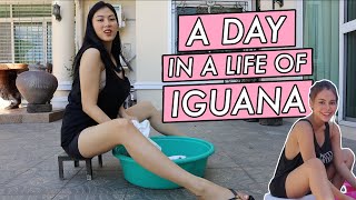 Iguana meets Ivana by Alex Gonzaga [upl. by Joshi]