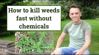 How to kill weeds easily with a weed burner without chemicals [upl. by Claretta970]