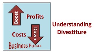 Understanding Divestiture [upl. by Brittne]