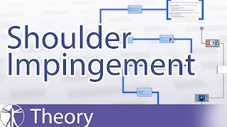 Shoulder Impingement Explained [upl. by Amr]