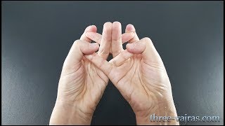 Crown Chakra Mandala Sahasrara Mudra Variations Tutorial  Three Vajras [upl. by Oglesby]