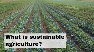 What is sustainable agriculture [upl. by Sirad]