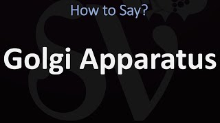 How to Pronounce Golgi Apparatus CORRECTLY [upl. by Ateekan732]