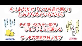 運の正体を見破る・・ 「運が悪い」は思い込み 運命とは何か 仏教の原因と結果の法則 ブッダ 因果応報 自業自得 迷信 占い 開運 巡りあわせ の謎をとく 仏教はとても理論的な宗教です [upl. by Franny]