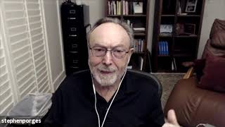 Polyvagal Theory Safe and Sound Protocol and Pandemic Plans with Dr Stephen Porges [upl. by Nylauqcaj]