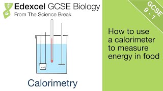 7 Edexcel GCSE Biology  Calorimetry [upl. by Kinom]