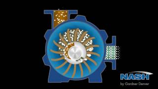 NASH Liquid Ring Vacuum Pump  How It Works [upl. by Ylrak]