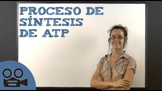 Proceso de síntesis de ATP [upl. by Malchus]