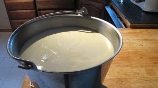 The Raw Milk Renaissance A Farmers Advocacy for Natural Dairy [upl. by Hsirehc]