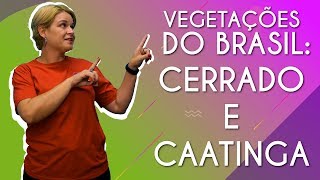 Vegetações do Brasil Cerrado e Caatinga  Brasil Escola [upl. by Madaras]