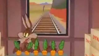 Wile E Coyote Super Genius [upl. by Alleirbag54]