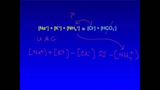 Urine Anion Gap [upl. by Adnaluy]