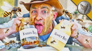 Is KILLER BEE Honey Dangerous [upl. by Cantlon]