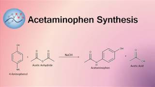 Acetaminophen Synthesis Mechanism  Organic Chemistry [upl. by Arron]