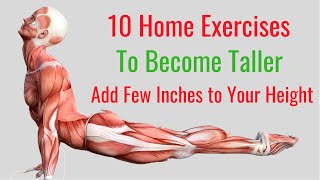 10 Home Exercises to Become Taller in No Time [upl. by Irah]