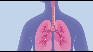 Lung Cancer Signs and Symptoms [upl. by Enilesoj]