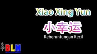 Xiao Xing Yun  小幸运  Karaoke  Terjemahan  Pinyin  Lyrics  Lirik [upl. by Ellett]