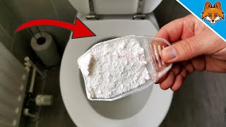 Dump WASHING POWDER into your Toilet and WATCH WHAT HAPPENS 💥 [upl. by Ayot]