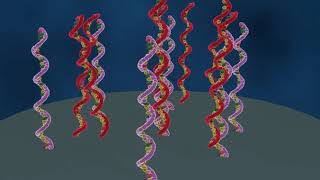 DNA microarray explained english speak [upl. by Norga148]