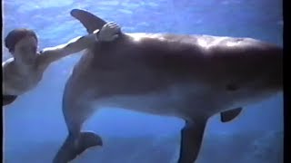 Flipper 1996 Teaser VHS Capture [upl. by Choong307]