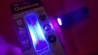 Harbor Freight Quantum UV Flashlight Review [upl. by Eedeed]