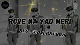 ROI NA JE YAAD MERI AAYI VE  NEW SAD SONG SLOWED  REVERB2020  VICKY SINGH  VLOGSBYRAAJ [upl. by Tahp]