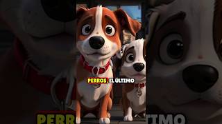 5 COSAS QUE NO SABÍAS SOBRE LOS PERROS 🤯🐶🧠 [upl. by Anikat376]