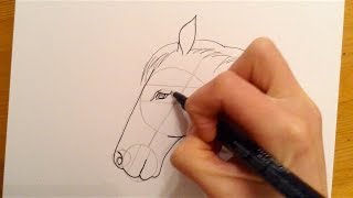 Beginners Lesson  How To Draw A Horse [upl. by Jerold]