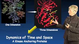 Susan Taylor UCSD Part 3 Protein Kinase Regulation and Localization [upl. by Vieva]