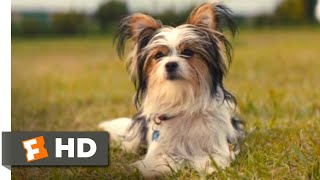 A Dogs Purpose 2017  The Right Fit Scene 910  Movieclips [upl. by Shipp428]