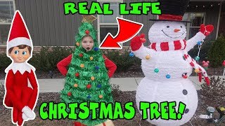 Real Life Christmas Tree For 24 Hours Elf On The Shelf Challenge [upl. by Adliw]