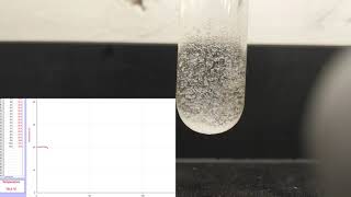 Ammonium chloride and water [upl. by Hume]