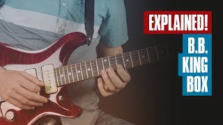 BB King Box EXPLAINED For Beginners  Guitar Tricks [upl. by Tehr]