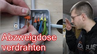 Abzweigdose verdrahten ElektroM [upl. by Rochelle]