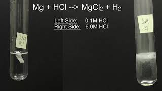 Magnesium reacting with Hydrochloric Acid [upl. by Arluene]