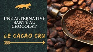 CACAO CRU  Bienfaits et Composition  Comment les consommer [upl. by Naryt110]