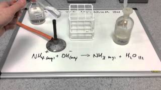 Testing for the ammonium ion [upl. by Moraj]