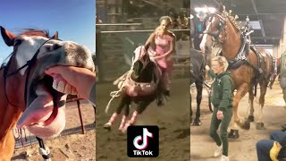 Horse Videos That Went Viral 1 [upl. by Lengel]