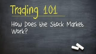 Trading 101 How Does the Stock Market Work [upl. by Siroved]