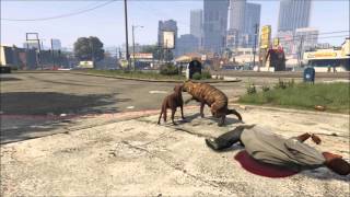 How to get animals in GTA5 Director Mode [upl. by Augustus283]