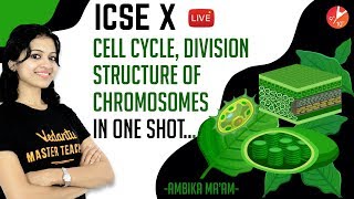 Cell Cycle Division amp Structure of Chromosome in OneShot  ICSE Class 10  Vedantu Learn Online [upl. by Teeniv]