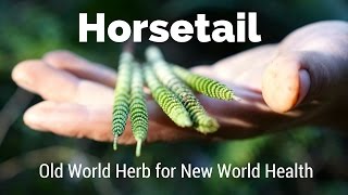 Horsetail  Old World Herb for New World Health  Harmonic Arts [upl. by Dnomse]