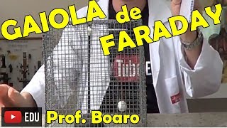 GAIOLA DE FARADAY 1  EXPERIÊNCIA DE FÍSICA  Prof Boaro [upl. by Neitsirhc]