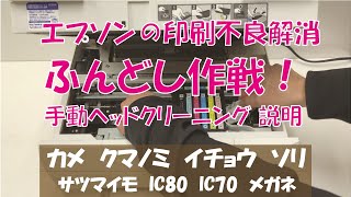 印字不良解消！手動ヘッドクリーニング（ふんどし作戦）の方法 エプソン、カメ、さつまいも、クマノミ、イチョウ、ソリ、メガネ、IC80、IC70、ヨット など [upl. by Auqinet324]