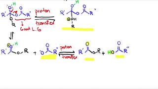 Acetylation Reaction MechanismOrganic Chemistry [upl. by Dnaltroc991]